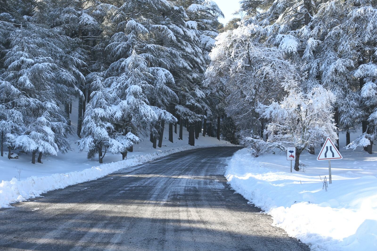 Bulletin Dalerte Chutes De Neige Et Rafales De Vent Pr Vues Dans