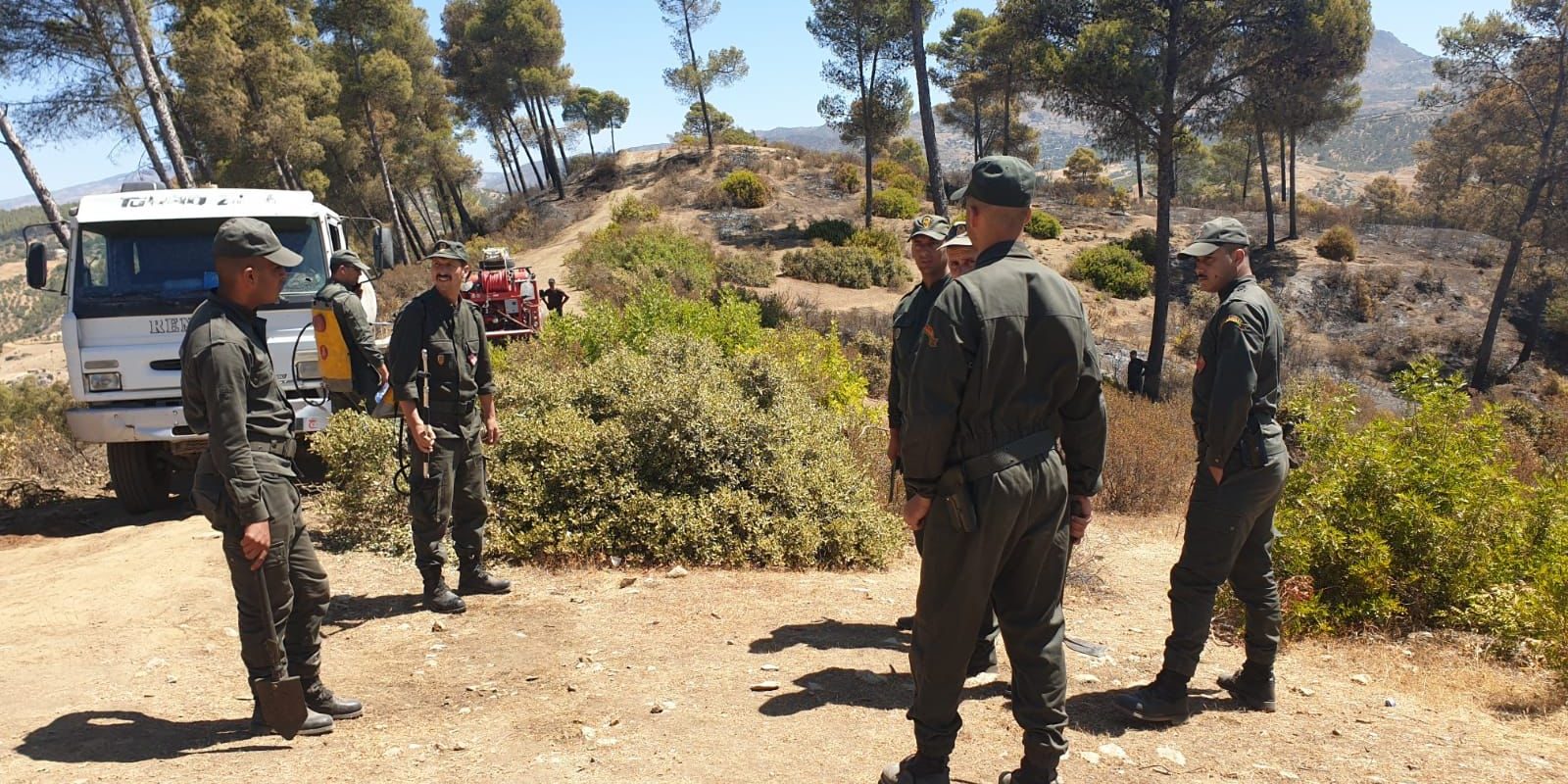 Apparition d'un animal sauvage à Khénifra et Oulmes : L'hypothèse des  attaques de lion écartée