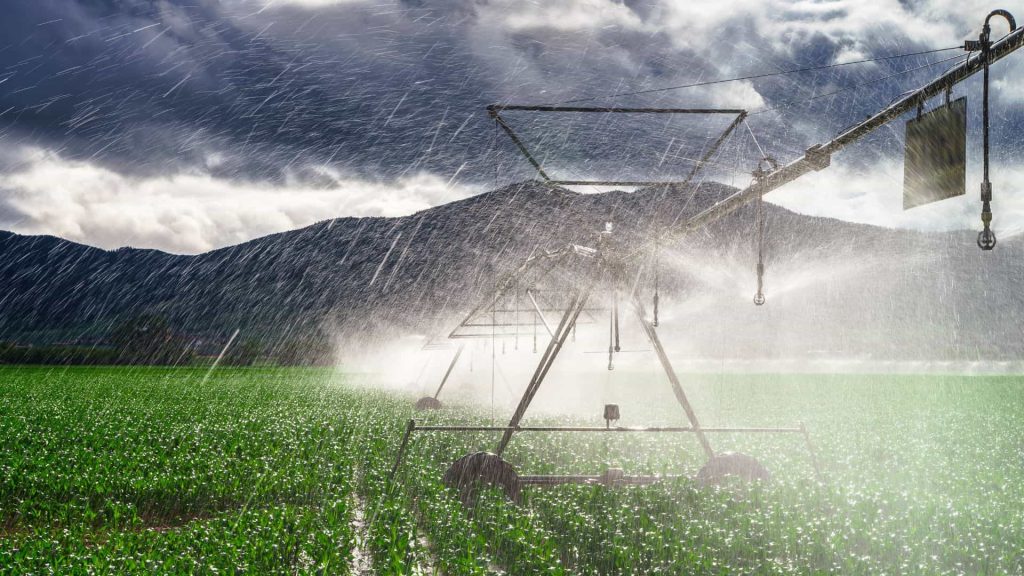 Le Maroc adopte l’irrigation complémentaire pour sécuriser sa production céréalière